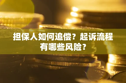北京担保人如何追偿？起诉流程有哪些风险？